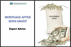 Mortgage SEISS Grant