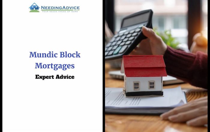 Mundic Block Mortgages